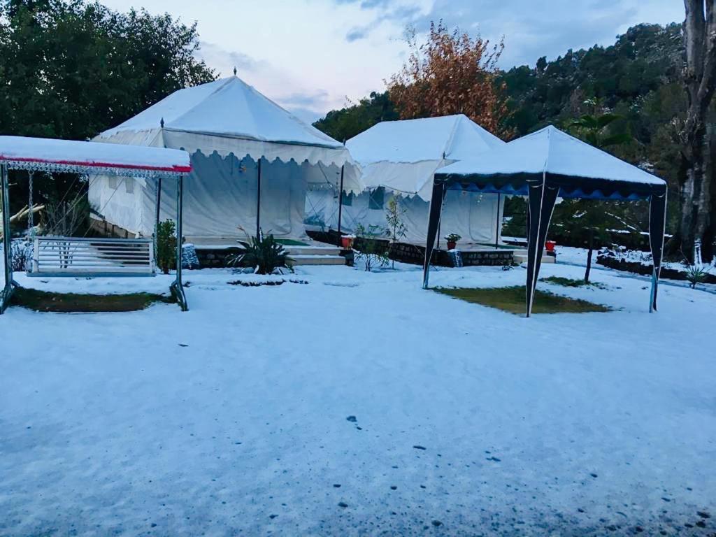 Tatva Bir Tents And Hotel Kangar Exterior photo